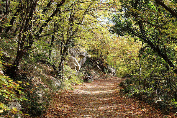 Caminho à beira-mar com sol baixo no horizonte